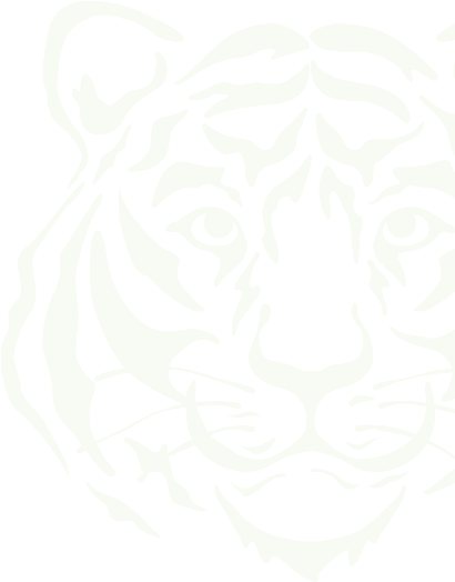 Tiger1